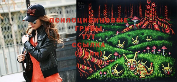стафф Абдулино