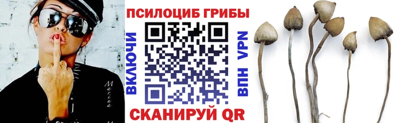 наркотики  Иноземцево  Псилоцибиновые грибы ЛСД 